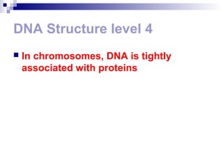 DNA Structure level 4 
 In chromosomes, DNA is tightly 
associated with proteins 
 