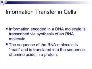 Information Transfer in Cells 
 Information encoded in a DNA molecule is 
transcribed via synthesis of an RNA 
molecule 
 The sequence of the RNA molecule is 
"read" and is translated into the sequence 
of amino acids in a protein. 
 