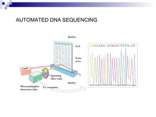AUTOMATED DNA SEQUENCING 
 