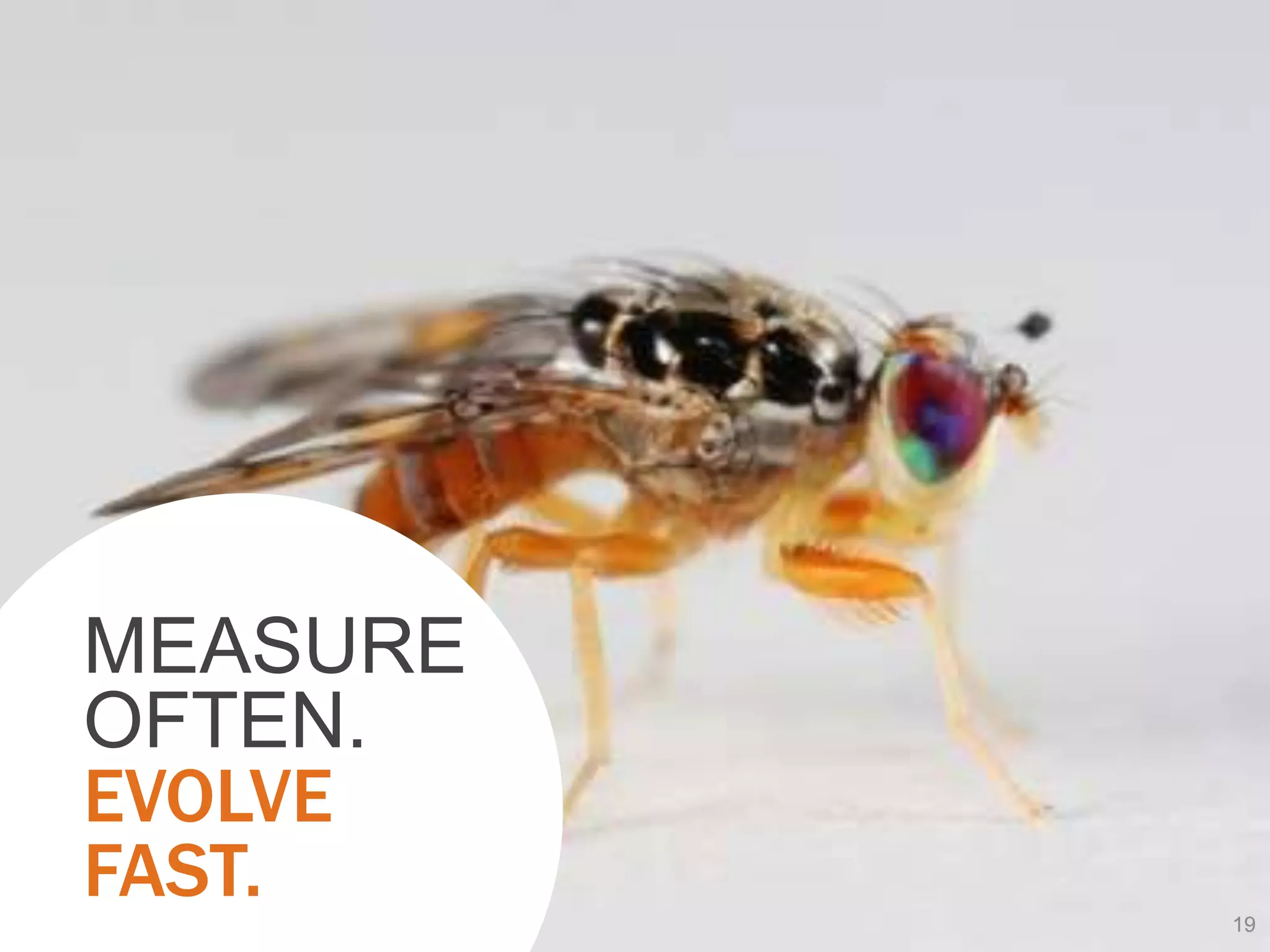 MEASURE
OFTEN.
EVOLVE
FAST.     19
 