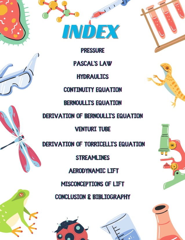 class 11 physics project on bernoulli's principle | PDF