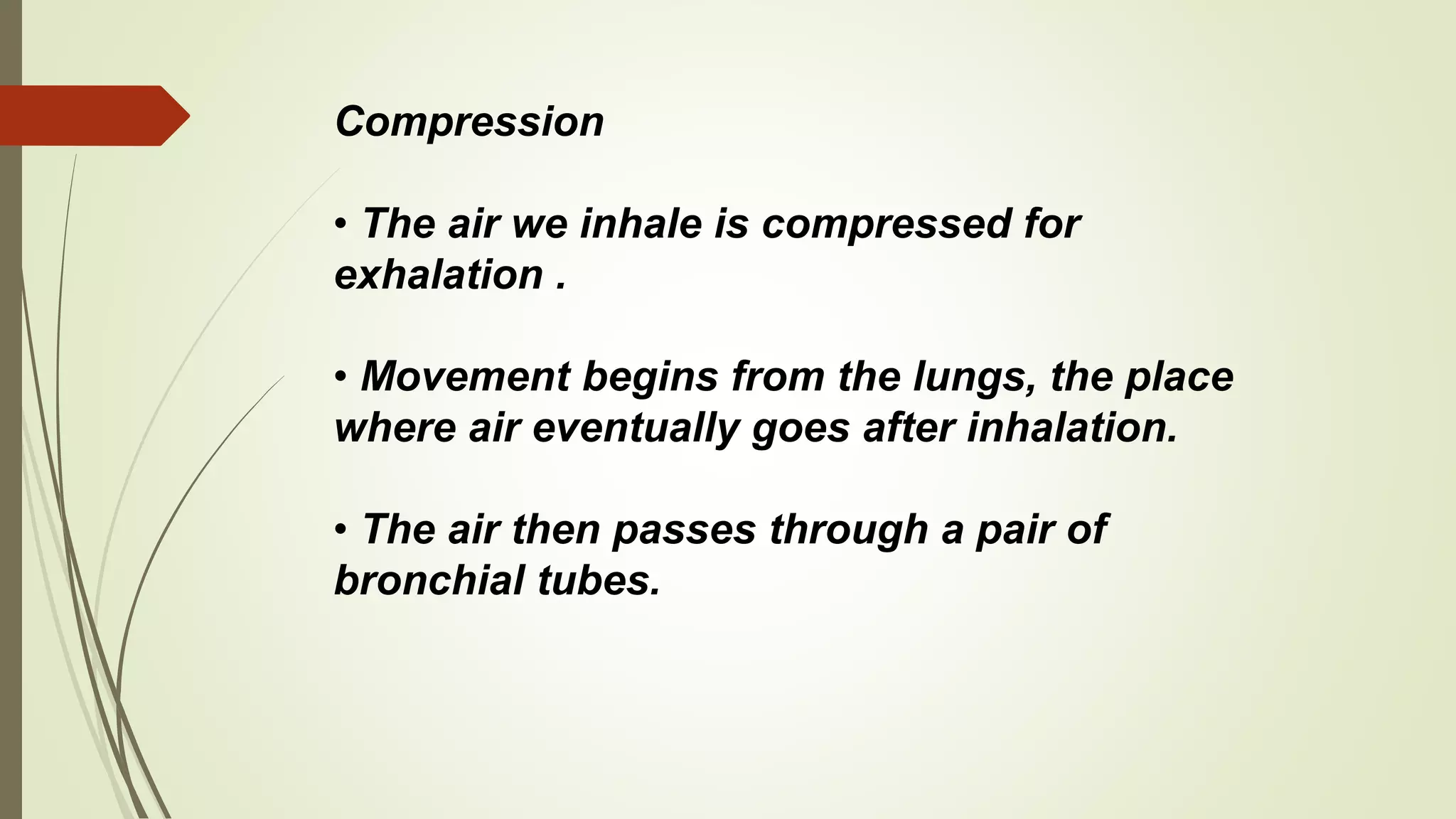 Compression
• The air we inhale is compressed for
exhalation .
• Movement begins from the lungs, the place
where air eventually goes after inhalation.
• The air then passes through a pair of
bronchial tubes.
 