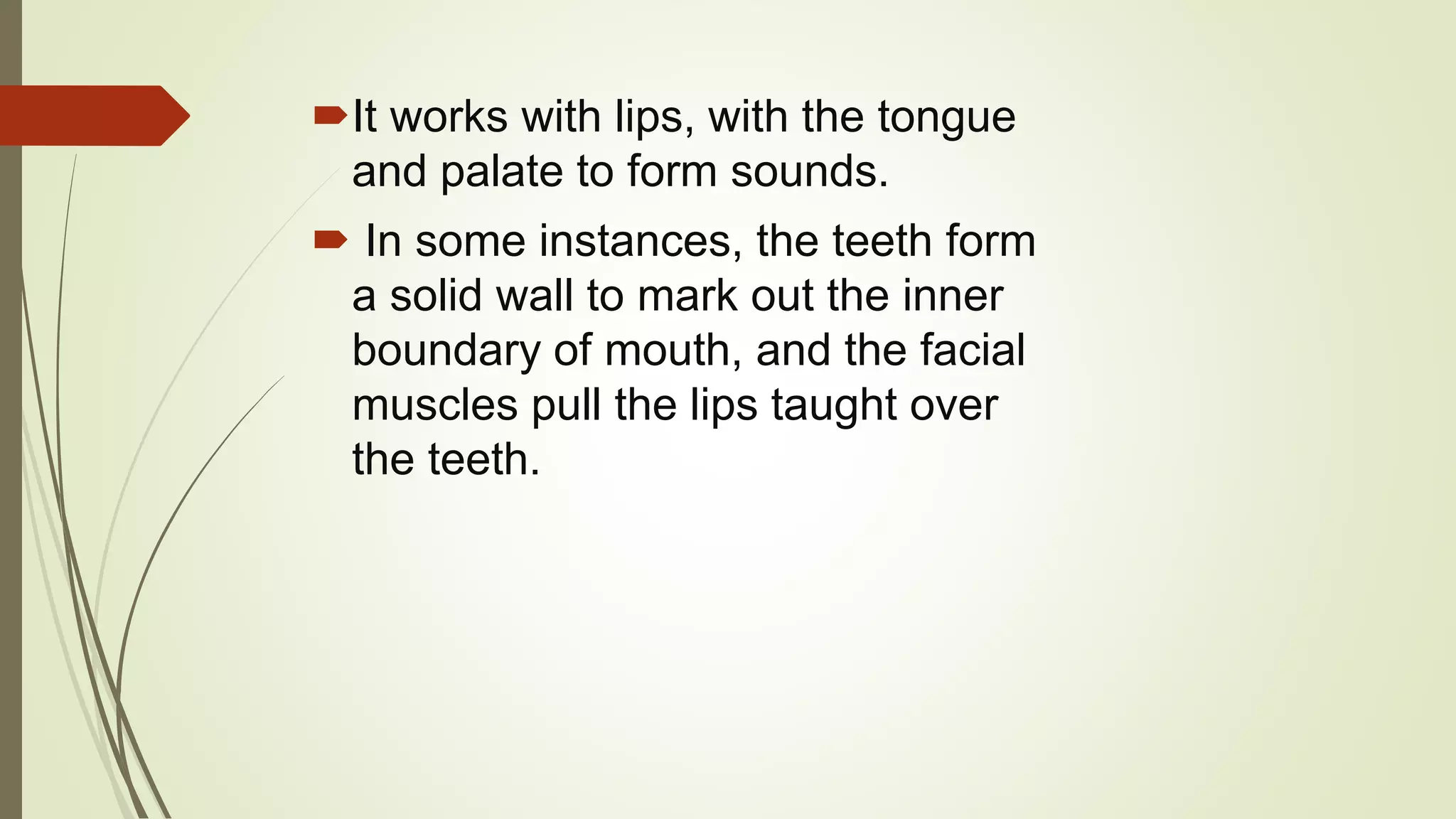 It works with lips, with the tongue
and palate to form sounds.
 In some instances, the teeth form
a solid wall to mark out the inner
boundary of mouth, and the facial
muscles pull the lips taught over
the teeth.
 