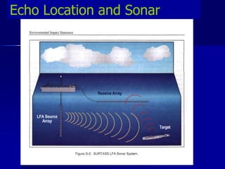 Echo Location and Sonar
 