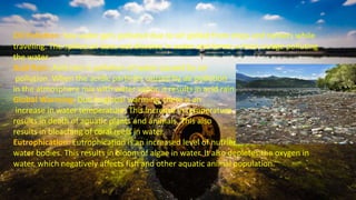 Oil Pollution: Sea water gets polluted due to oil spilled from ships and tankers while
traveling. The spilled oil does not dissolve in water and forms a thick sludge polluting
the water.
Acid Rain: Acid rain is pollution of water caused by air
pollution. When the acidic particles caused by air pollution
in the atmosphere mix with water vapor, it results in acid rain.
Global Warming: Due to global warming, there is an
increase in water temperature. This increase in temperature
results in death of aquatic plants and animals. This also
results in bleaching of coral reefs in water.
Eutrophication: Eutrophication is an increased level of nutrients in
water bodies. This results in bloom of algae in water. It also depletes the oxygen in
water, which negatively affects fish and other aquatic animal population.
 