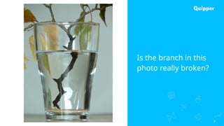 3
Is the branch in this
photo really broken?
 