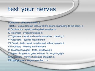 test your nerves
I Olfactory - olfaction (smell) s
IIOptic - vision (Contain 38% of all the axons connecting to the brain.) s
III Oculomotor - eyelid and eyeball muscles m
IV Trochlear - eyeball muscles m
V Trigeminal - facial and mouth sensation , chewing b
VI Abducens - eyeball movement m
VII Facial - taste, facial muscles and salivary glands b
VIII Auditory - hearing and balance s
IX Glossopharyngeal - taste, swallowing b
X Vagus - long nerve goes to heart, GI, lungs---gag b
XI Accessory - moving head and shoulder m
XII Hypoglossal - tongue muscles m
 