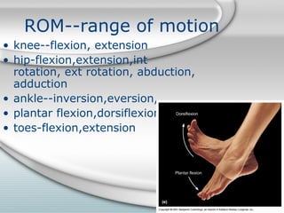 HIPPIRONEL---physical assessment | PPT