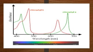DISPERSION OF WHITE LIGHT THROUGH A GLASS PRISM | PPTX