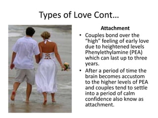 Types of Love Cont…
                  Attachment
         • Couples bond over the
           “high” feeling of early love
           due to heightened levels
           Phenylethylamine (PEA)
           which can last up to three
           years.
         • After a period of time the
           brain becomes accustom
           to the higher levels of PEA
           and couples tend to settle
           into a period of calm
           confidence also know as
           attachment.
 