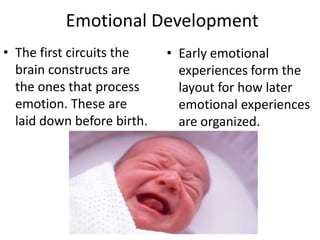 Emotional Development
• The first circuits the    • Early emotional
  brain constructs are        experiences form the
  the ones that process       layout for how later
  emotion. These are          emotional experiences
  laid down before birth.     are organized.
 