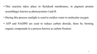 • This reaction takes place in thylakoid membranes, in pigment protein
assemblages known as photosystems I and II.
• During this process sunlight is used to oxidize water to molecular oxygen.
• ATP and NADPH are used to reduce carbon dioxide, there by forming
organic compounds in a process known as carbon fixation.
100
 