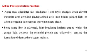 The Photoprotection Problem
• Algae may encounter fast irradiance (light rays) changes when current
transport deep-dwelling phytoplankton cells into bright surface light or
when a receding tide exposes shoreline macro algae.
• Some algae live in extremely high-irradiance habitats due to which the
excess light destroys the essential protein and chlorophyll causing the
formation of destructive oxygen radicals.
102
 
