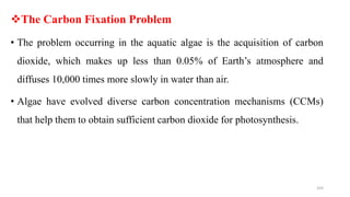 The Carbon Fixation Problem
• The problem occurring in the aquatic algae is the acquisition of carbon
dioxide, which makes up less than 0.05% of Earth’s atmosphere and
diffuses 10,000 times more slowly in water than air.
• Algae have evolved diverse carbon concentration mechanisms (CCMs)
that help them to obtain sufficient carbon dioxide for photosynthesis.
103
 