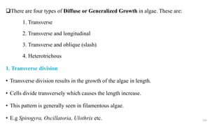 There are four types of Diffuse or Generalized Growth in algae. These are:
1. Transverse
2. Transverse and longitudinal
3. Transverse and oblique (slash)
4. Heterotrichous
1. Transverse division
• Transverse division results in the growth of the algae in length.
• Cells divide transversely which causes the length increase.
• This pattern is generally seen in filamentous algae.
• E.g Spirogyra, Oscillatoria, Ulothrix etc. 105
 