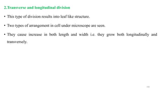 2.Transverse and longitudinal division
• This type of division results into leaf like structure.
• Two types of arrangement in cell under microscope are seen.
• They cause increase in both length and width i.e. they grow both longitudinally and
transversely.
106
 
