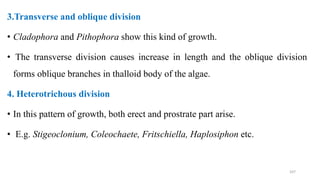 3.Transverse and oblique division
• Cladophora and Pithophora show this kind of growth.
• The transverse division causes increase in length and the oblique division
forms oblique branches in thalloid body of the algae.
4. Heterotrichous division
• In this pattern of growth, both erect and prostrate part arise.
• E.g. Stigeoclonium, Coleochaete, Fritschiella, Haplosiphon etc.
107
 