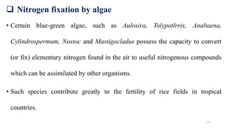  Nitrogen fixation by algae
• Certain blue-green algae, such as Aulosira, Tolypotlrrix, Anabaena,
Cylindrospermum, Nostoc and Mastigocladus possess the capacity to convert
(or fix) elementary nitrogen found in the air to useful nitrogenous compounds
which can be assimilated by other organisms.
• Such species contribute greatly to the fertility of rice fields in tropical
countries.
111
 