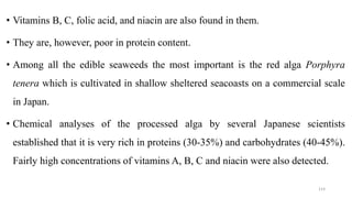 • Vitamins B, C, folic acid, and niacin are also found in them.
• They are, however, poor in protein content.
• Among all the edible seaweeds the most important is the red alga Porphyra
tenera which is cultivated in shallow sheltered seacoasts on a commercial scale
in Japan.
• Chemical analyses of the processed alga by several Japanese scientists
established that it is very rich in proteins (30-35%) and carbohydrates (40-45%).
Fairly high concentrations of vitamins A, B, C and niacin were also detected.
114
 