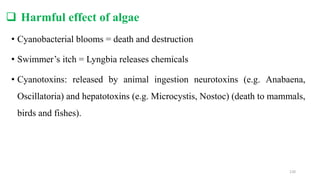  Harmful effect of algae
• Cyanobacterial blooms = death and destruction
• Swimmer’s itch = Lyngbia releases chemicals
• Cyanotoxins: released by animal ingestion neurotoxins (e.g. Anabaena,
Oscillatoria) and hepatotoxins (e.g. Microcystis, Nostoc) (death to mammals,
birds and fishes).
120
 