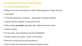 2.General characteristics and ecology
2.1. General Characteristics
 Range in size from microscopic to single celled organisms to large seaweed
 Autotrophic
 Form the reproductive structures – gametangia or gamete chambers
 Aquatic and have flagella at some point in life
 Often contain pyrenoids, organelles that synthesis and store starch
 Primitive plants
 No true roots, only attachment structures (Holdfasts)
 Produce spores (not seeds)– motile or non-motile
 Most have sexual and asexual reproduction
 Non-vascular, do not possess an internal transport system. 4
 