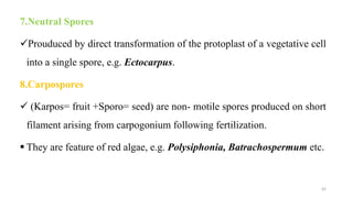 7.Neutral Spores
Prouduced by direct transformation of the protoplast of a vegetative cell
into a single spore, e.g. Ectocarpus.
8.Carpospores
 (Karpos= fruit +Sporo= seed) are non- motile spores produced on short
filament arising from carpogonium following fertilization.
 They are feature of red algae, e.g. Polysiphonia, Batrachospermum etc.
42
 