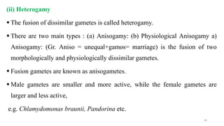 (ii) Heterogamy
 The fusion of dissimilar gametes is called heterogamy.
 There are two main types : (a) Anisogamy: (b) Physiological Anisogamy a)
Anisogamy: (Gr. Aniso = unequal+gamos= marriage) is the fusion of two
morphologically and physiologically dissimilar gametes.
 Fusion gametes are known as anisogametes.
 Male gametes are smaller and more active, while the female gametes are
larger and less active,
e.g. Chlamydomonas braunii, Pandorina etc.
48
 