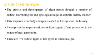  Life Cycle In Algae
• The growth and development of algae passes through a number of
distinct morphological and cytological stages in definite orderly manner.
• This sequence of orderly changes is called as life cycle or life history.
• It comprises the sequence of events from zygote of one generation to the
zygote of next generation.
• There are five distinct types of life cycle as found in algae.
52
 