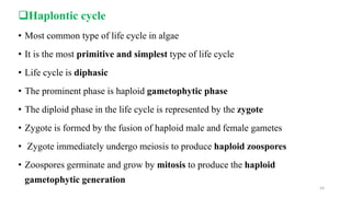 Haplontic cycle
• Most common type of life cycle in algae
• It is the most primitive and simplest type of life cycle
• Life cycle is diphasic
• The prominent phase is haploid gametophytic phase
• The diploid phase in the life cycle is represented by the zygote
• Zygote is formed by the fusion of haploid male and female gametes
• Zygote immediately undergo meiosis to produce haploid zoospores
• Zoospores germinate and grow by mitosis to produce the haploid
gametophytic generation
54
 