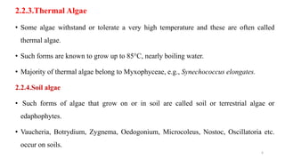 2.2.3.Thermal Algae
• Some algae withstand or tolerate a very high temperature and these are often called
thermal algae.
• Such forms are known to grow up to 85°C, nearly boiling water.
• Majority of thermal algae belong to Myxophyceae, e.g., Synechococcus elongates.
2.2.4.Soil algae
• Such forms of algae that grow on or in soil are called soil or terrestrial algae or
edaphophytes.
• Vaucheria, Botrydium, Zygnema, Oedogonium, Microcoleus, Nostoc, Oscillatoria etc.
occur on soils.
6
 