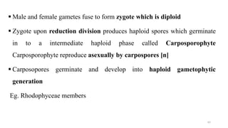  Male and female gametes fuse to form zygote which is diploid
 Zygote upon reduction division produces haploid spores which germinate
in to a intermediate haploid phase called Carposporophyte
Carposporophyte reproduce asexually by carpospores [n]
 Carposopores germinate and develop into haploid gametophytic
generation
Eg. Rhodophyceae members
62
 