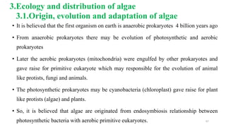 3.Ecology and distribution of algae
3.1.Origin, evolution and adaptation of algae
• It is believed that the first organism on earth is anaerobic prokaryotes 4 billion years ago
• From anaerobic prokaryotes there may be evolution of photosynthetic and aerobic
prokaryotes
• Later the aerobic prokaryotes (mitochondria) were engulfed by other prokaryotes and
gave raise for primitive eukaryote which may responsible for the evolution of animal
like protists, fungi and animals.
• The photosynthetic prokaryotes may be cyanobacteria (chloroplast) gave raise for plant
like protists (algae) and plants.
• So, it is believed that algae are originated from endosymbiosis relationship between
photosynthetic bacteria with aerobic primitive eukaryotes. 67
 