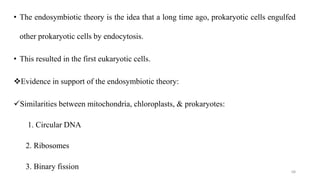 • The endosymbiotic theory is the idea that a long time ago, prokaryotic cells engulfed
other prokaryotic cells by endocytosis.
• This resulted in the first eukaryotic cells.
Evidence in support of the endosymbiotic theory:
Similarities between mitochondria, chloroplasts, & prokaryotes:
1. Circular DNA
2. Ribosomes
3. Binary fission 68
 