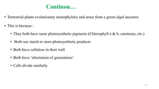Continou…
• Terrestrial plants evolutionary monophyletic and arose from a green algal ancestor.
• This is because :
• They both have same photosynthetic pigments (Chlorophyll a & b, carotenes, etc.)
• Both use starch to store photosynthetic products
• Both have cellulose in their wall
• Both have ‘alternation of generations’
• Cells divide similarly
69
 