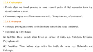 2.2.5. Crybophytes
• Certain algae are found growing on snow covered peaks of high mountains imparting
attractive colors to snow.
• Common examples are—Haematococcus nivalis, Chlamydomonas yellowstonensis.
2.2.6. Lithophytes
• The algae growing attached to stones and rocky surfaces are called lithophytes.
• These may be of two types:
(i) Epilithic: These include algae living on surface of rocks, e.g., Calothrix, Rivularia,
Polysiphonia etc.
(ii) Endolithic: These include algae which live inside the rocks, e.g., Dalmatella and
Podocapsa. 7
 