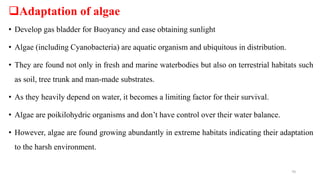 Adaptation of algae
• Develop gas bladder for Buoyancy and ease obtaining sunlight
• Algae (including Cyanobacteria) are aquatic organism and ubiquitous in distribution.
• They are found not only in fresh and marine waterbodies but also on terrestrial habitats such
as soil, tree trunk and man-made substrates.
• As they heavily depend on water, it becomes a limiting factor for their survival.
• Algae are poikilohydric organisms and don’t have control over their water balance.
• However, algae are found growing abundantly in extreme habitats indicating their adaptation
to the harsh environment.
70
 