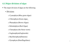 4.1.Major divisions of algae
 The major division of algae are the following
• Division:
o Cyanophyta (Blue green algae)
o Chlorophyta (Green algae_
o Phaeophyta (Brown Algae)
o Rohodophyta (Red Algae)
o Charophyta (the Stone worts)
o Euglenophyta(Euglenoids)
o Bacillariophyta(Diatoms)
o Pyrrophyta (Dinofllagellates) 73
 