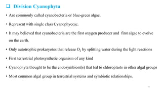  Division Cyanophyta
• Are commonly called cyanobacteria or blue-green algae.
• Represent with single class Cyanophyceae.
• It may believed that cyanobacteria are the first oxygen producer and first algae to evolve
on the earth.
• Only autotrophic prokaryotes that release O2 by splitting water during the light reactions
• First terrestrial photosynthetic organism of any kind
• Cyanophyta thought to be the endosymbiont(s) that led to chloroplasts in other algal groups
• Most common algal group in terrestrial systems and symbiotic relationships.
74
 