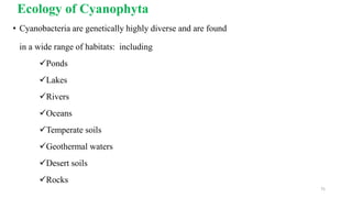 Ecology of Cyanophyta
• Cyanobacteria are genetically highly diverse and are found
in a wide range of habitats: including
Ponds
Lakes
Rivers
Oceans
Temperate soils
Geothermal waters
Desert soils
Rocks
75
 