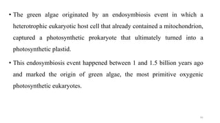 • The green algae originated by an endosymbiosis event in which a
heterotrophic eukaryotic host cell that already contained a mitochondrion,
captured a photosynthetic prokaryote that ultimately turned into a
photosynthetic plastid.
• This endosymbiosis event happened between 1 and 1.5 billion years ago
and marked the origin of green algae, the most primitive oxygenic
photosynthetic eukaryotes.
81
 