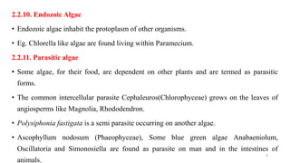 2.2.10. Endozoic Algae
• Endozoic algae inhabit the protoplasm of other organisms.
• Eg. Chlorella like algae are found living within Paramecium.
2.2.11. Parasitic algae
• Some algae, for their food, are dependent on other plants and are termed as parasitic
forms.
• The common intercellular parasite Cephaleuros(Chlorophyceae) grows on the leaves of
angiosperms like Magnolia, Rhododendron.
• Polysiphonia fastigata is a semi parasite occurring on another algae.
• Ascophyllum nodosum (Phaeophyceae), Some blue green algae Anabaeniolum,
Oscillatoria and Simonosiella are found as parasite on man and in the intestines of
animals.
9
 