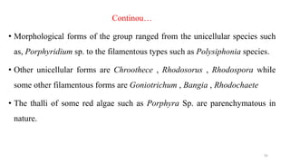Continou…
• Morphological forms of the group ranged from the unicellular species such
as, Porphyridium sp. to the filamentous types such as Polysiphonia species.
• Other unicellular forms are Chroothece , Rhodosorus , Rhodospora while
some other filamentous forms are Goniotrichum , Bangia , Rhodochaete
• The thalli of some red algae such as Porphyra Sp. are parenchymatous in
nature.
92
 