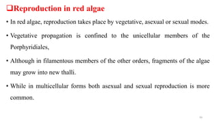 Reproduction in red algae
• In red algae, reproduction takes place by vegetative, asexual or sexual modes.
• Vegetative propagation is confined to the unicellular members of the
Porphyridiales,
• Although in filamentous members of the other orders, fragments of the algae
may grow into new thalli.
• While in multicellular forms both asexual and sexual reproduction is more
common.
93
 