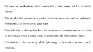 • The algae are mostly photosynthetic species that produce oxygen and live in aquatic
habitats.
• This includes both photosynthetic protists, which are eukaryotes, and the prokaryotic
cyanobacteria, also known as blue-green algae.
• Though the algae is photosynthetic but it has exception also, as non-photosynthetic protists
are also included among the algae as they are closely related to photosynthetic species.
• Photosynthesis is the process by which light energy is harnessed to produce organic
compound.
99
 