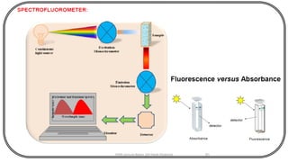 Photochemistry Examples Physical Chemistry VIII_ Photochemistry | PDF