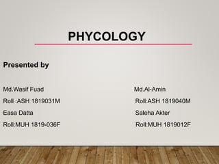 PHYCOLOGY
Presented by
Md.Wasif Fuad Md.Al-Amin
Roll :ASH 1819031M Roll:ASH 1819040M
Easa Datta Saleha Akter
Roll:MUH 1819-036F Roll:MUH 1819012F
 