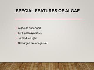 SPECIAL FEATURES OF ALGAE
• Algae as superfood
• 60% photosynthesis
• To produce light
• Sex organ are non-jacket
 