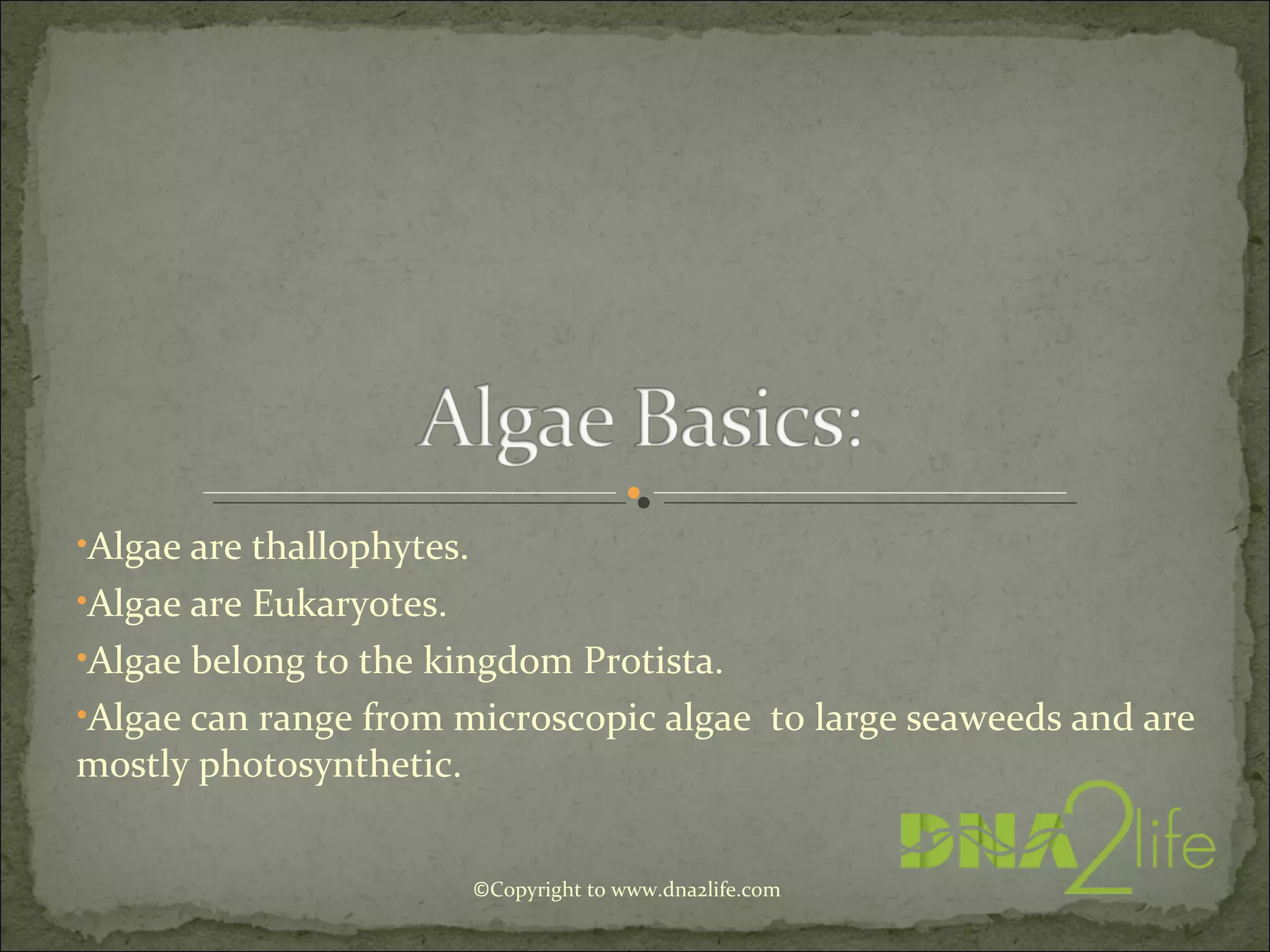 •Algae are thallophytes.
•Algae are Eukaryotes.
•Algae belong to the kingdom Protista.
•Algae can range from microscopic algae to large seaweeds and are
mostly photosynthetic.
©Copyright to www.dna2life.com
 