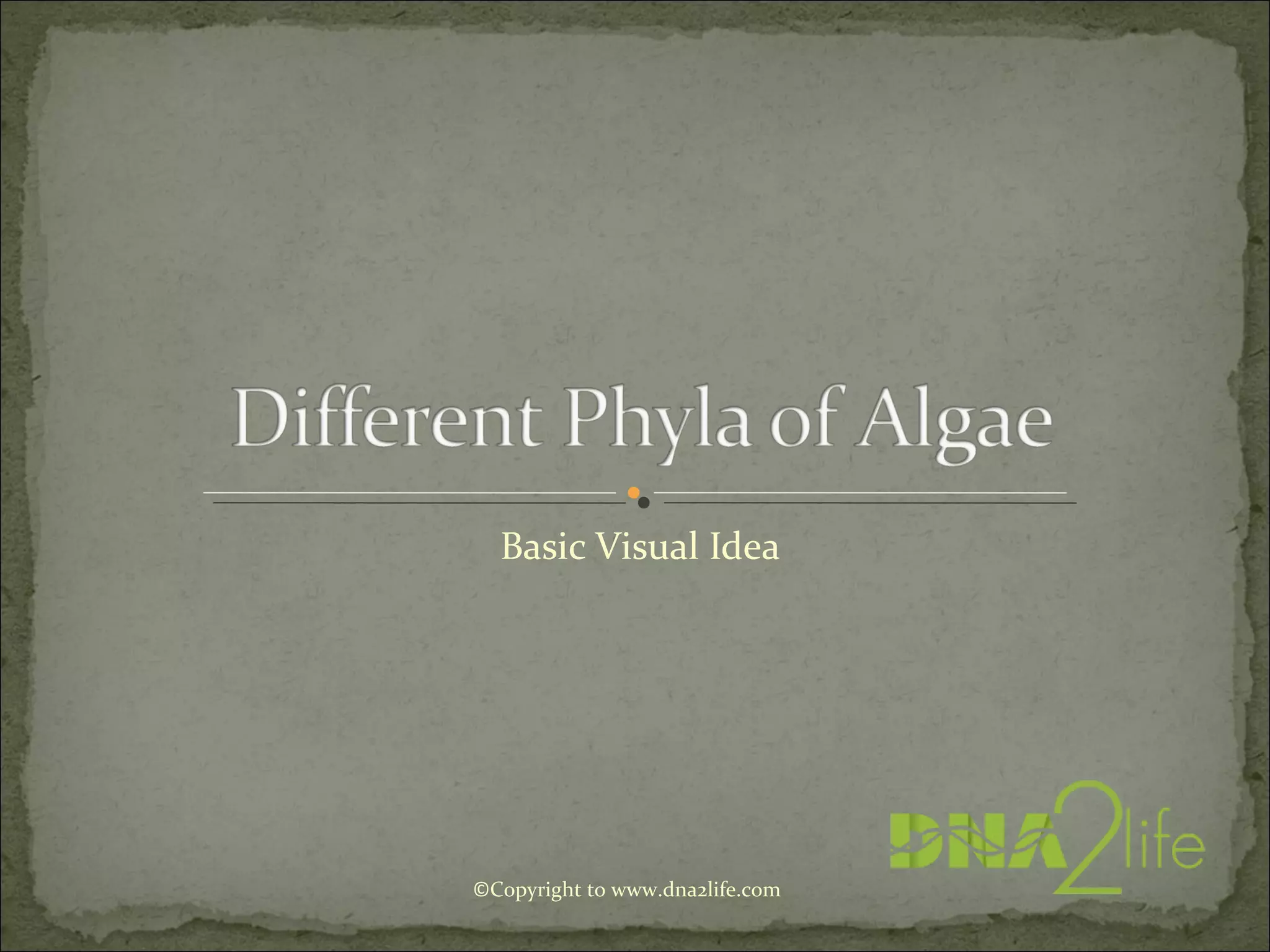 Basic Visual Idea
©Copyright to www.dna2life.com
 