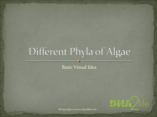 Basic Visual Idea
©Copyright to www.dna2life.com
 